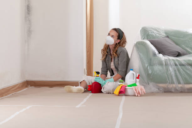 Reliable Mold Remediation contractor in North Brunswick, NJ by Cheap Mold Removal